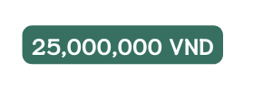 25 000 000 VND